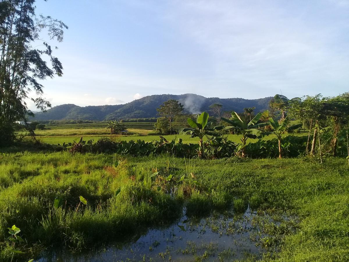 Baan Suan Jantra Home Stay Чіанграй Екстер'єр фото